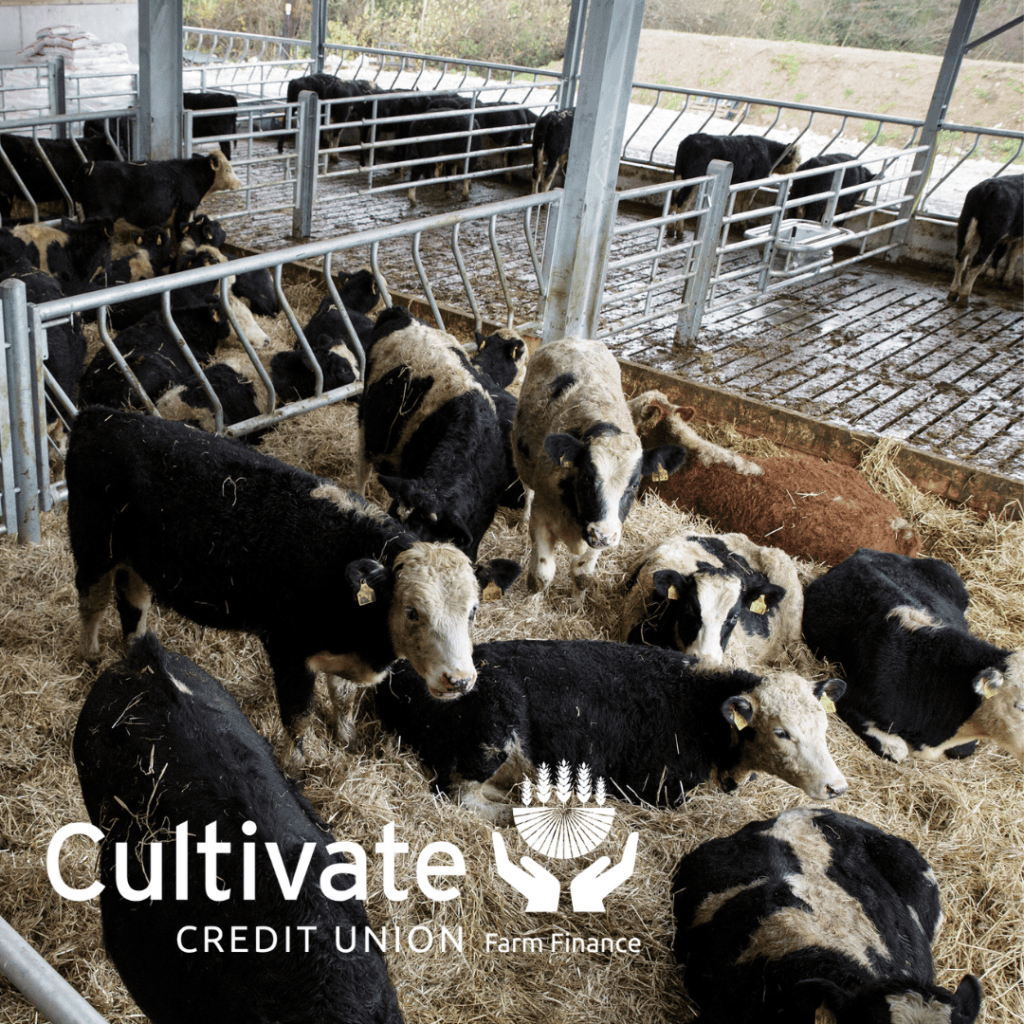 Cultivate_2025