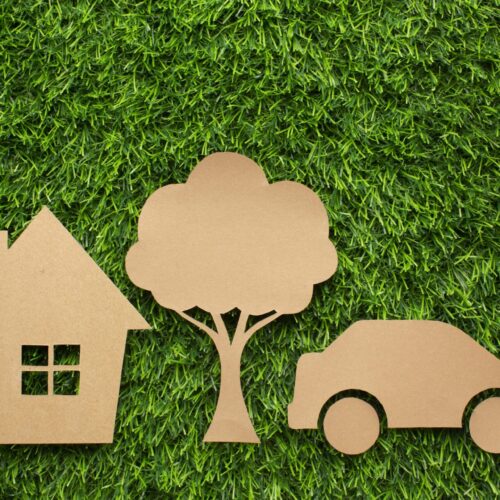 cartoon-car-house-tree-grass